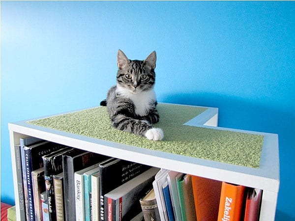 Modern Cat Tree Bookcase with Reading Nook
