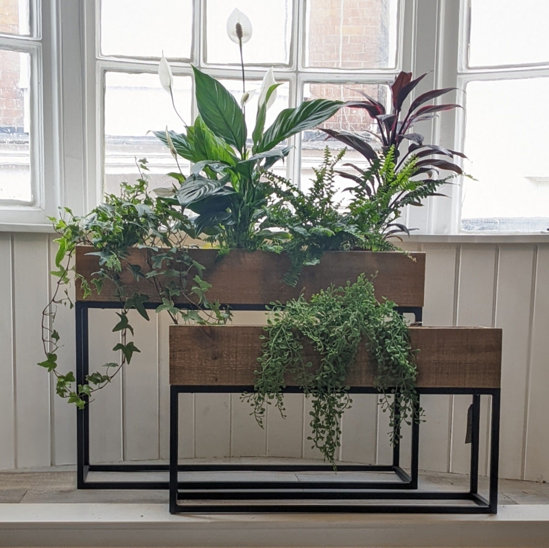 Modern Firwood Rectangular Indoor Floor Planters
