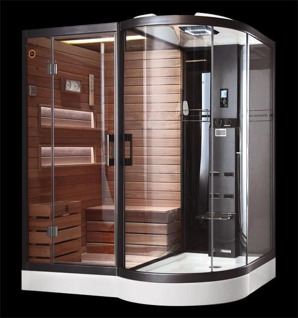 Modern Glass Enclosed Sauna and Shower Combo