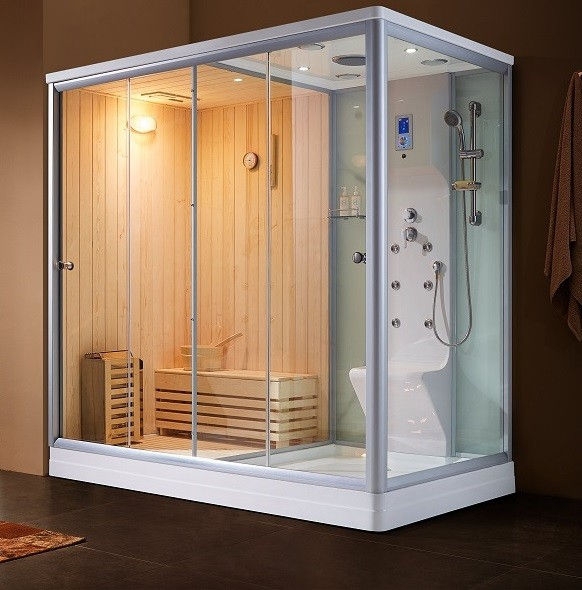 Modern Luxury Steam Shower and Sauna Combo