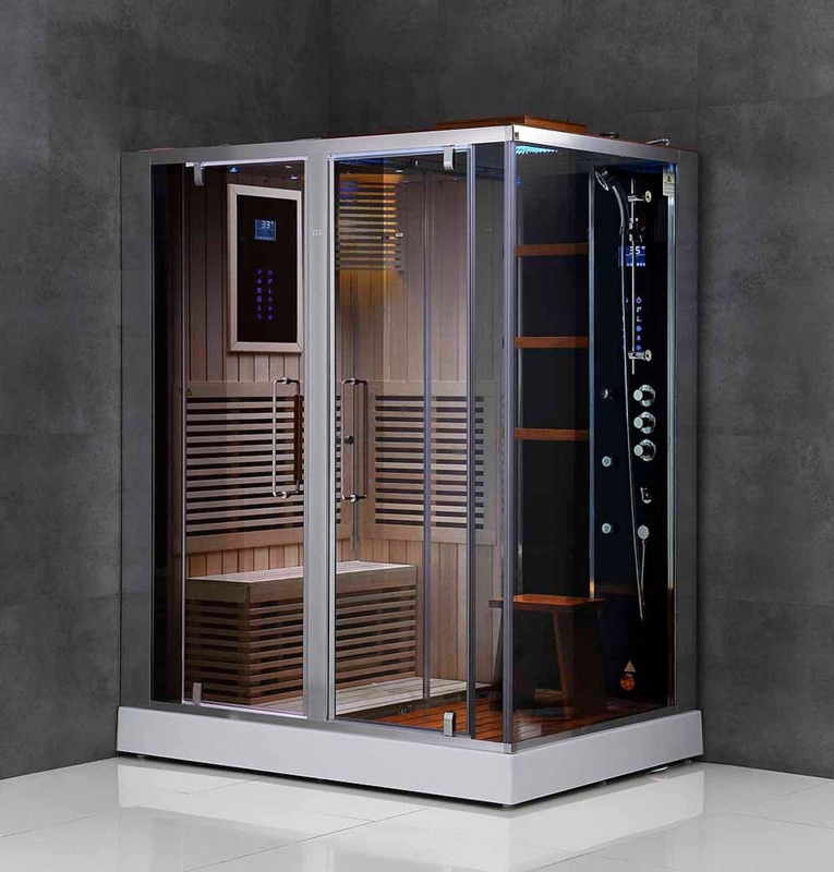 Modern Luxury Steam Shower and Sauna Combo