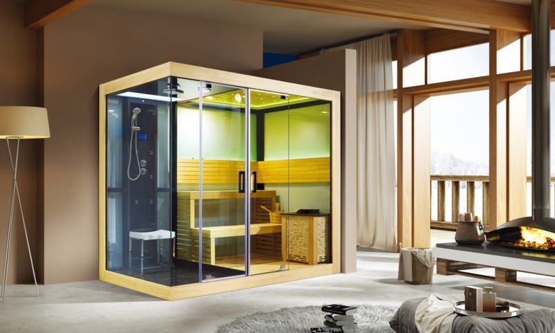 Modern Luxury Steam Shower and Sauna Combo
