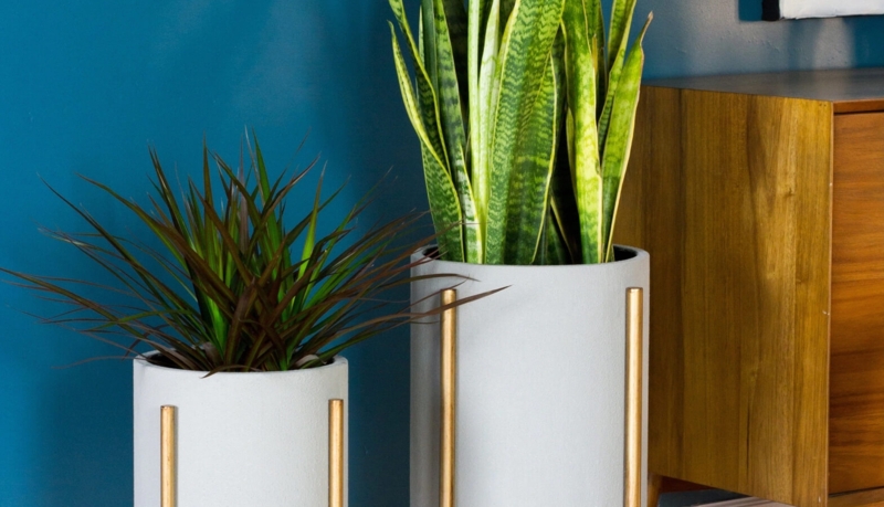 Modern Mid-Century Planters with Wooden Accents