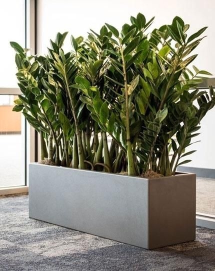 Modern Rectangle Indoor Planters for Stylish Spaces