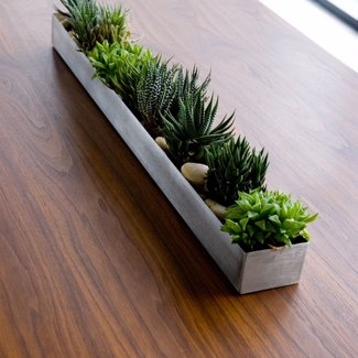 Modern Rectangular Indoor Planter with Succulents