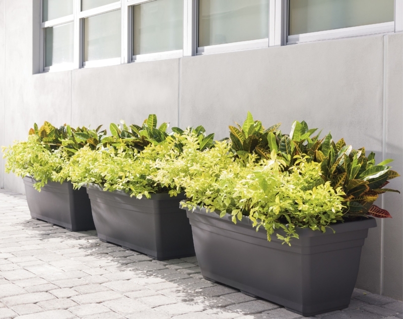 Modern Rectangular Planters for Stylish Outdoor Spaces