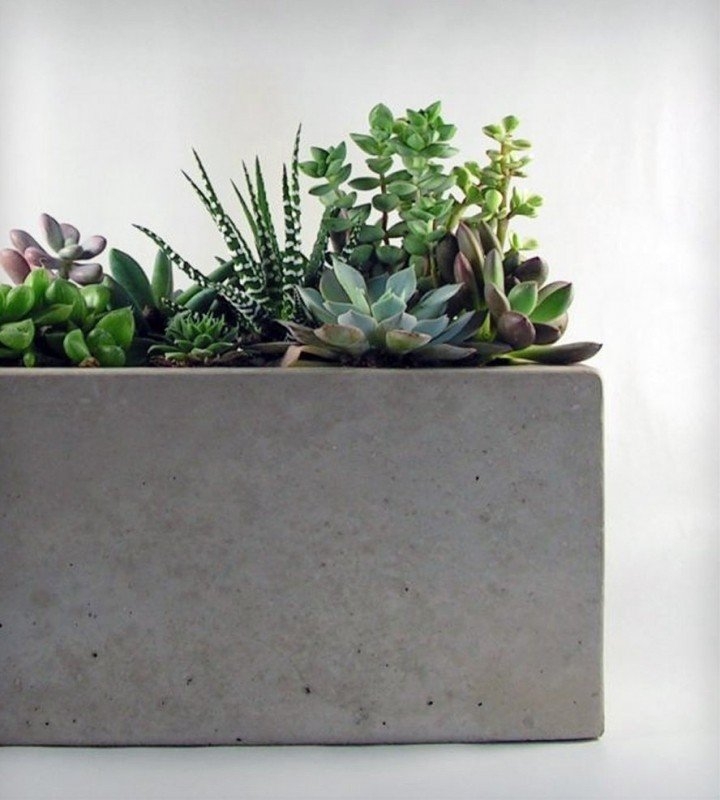 Modern Rectangular Planters with Succulents