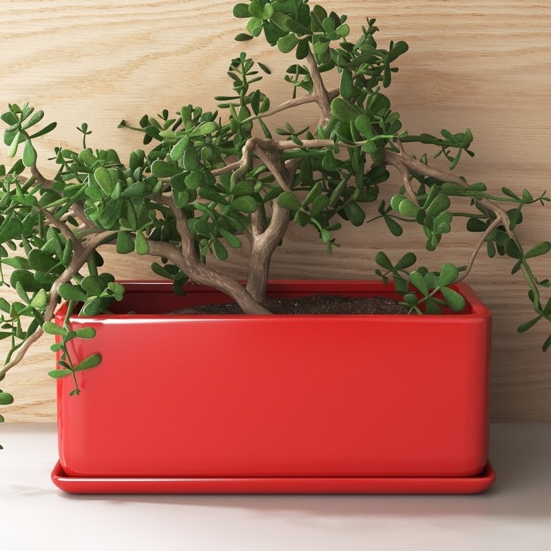Modern Red Rectangular Indoor Planter with Succulent