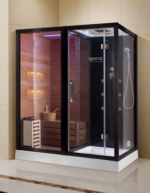 Modern Sauna and Shower Combo for Home Spa