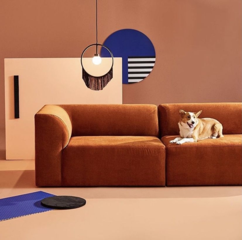 Modern Terra-Cotta Sofa with Minimalist Decor