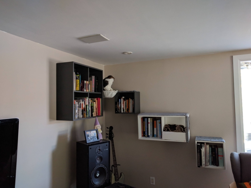 Modern Wall-Mounted Cat-Friendly Bookshelves