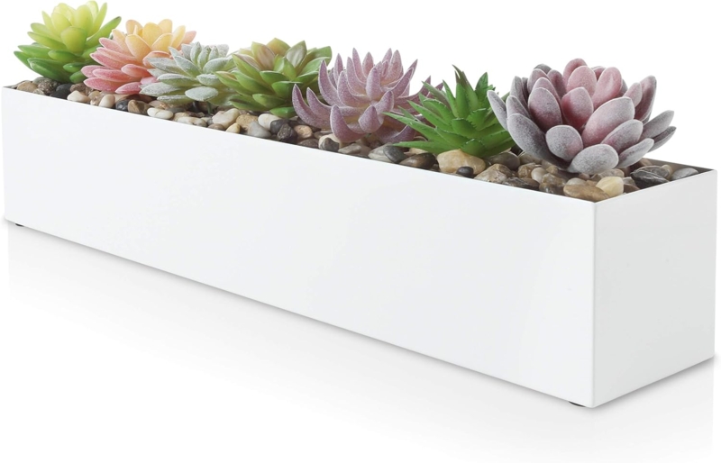 Modern White Rectangle Succulent Planter Box