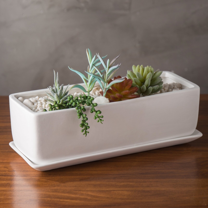Modern White Rectangular Indoor Succulent Planter