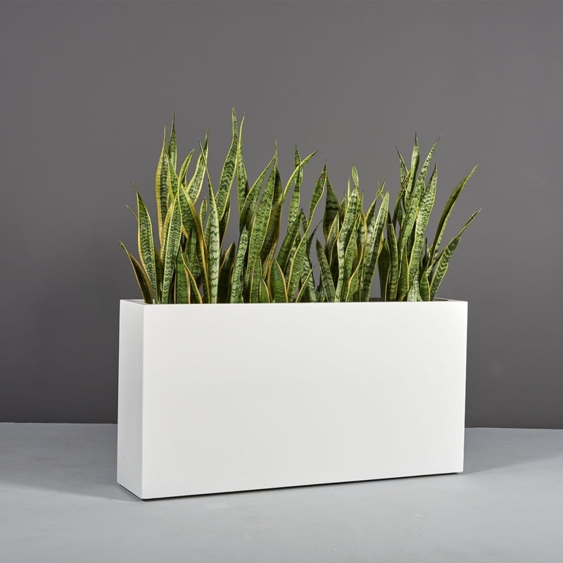 Rectangular Indoor Planters