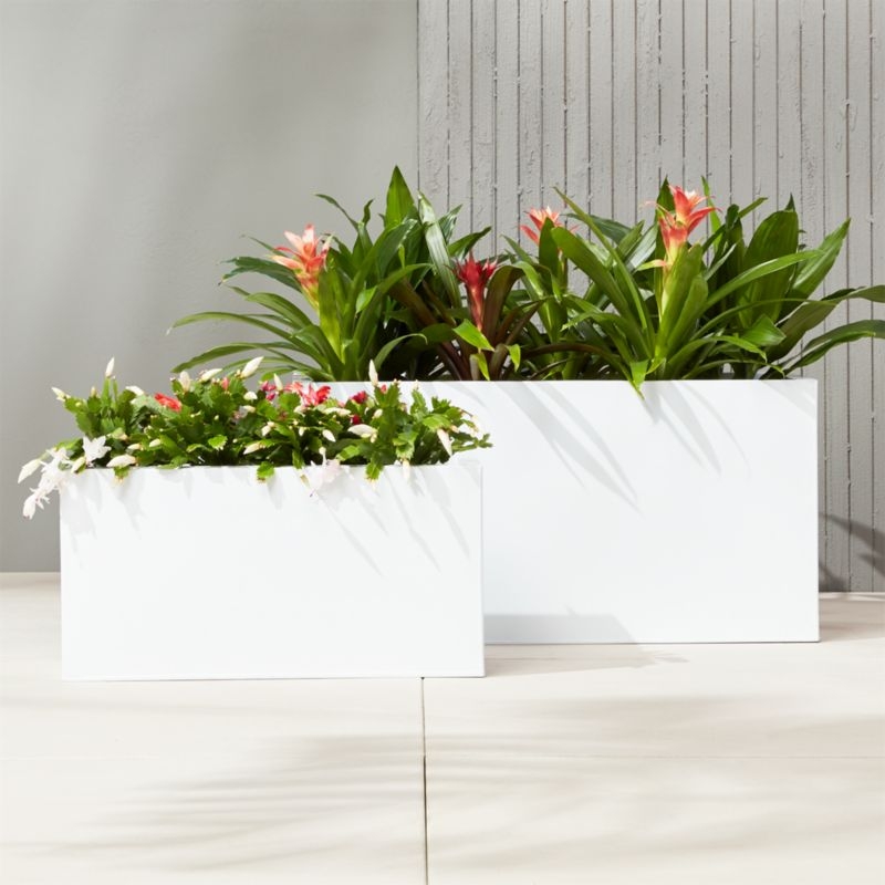 Modern White Rectangular Planters for Indoor and Outdoor Spaces