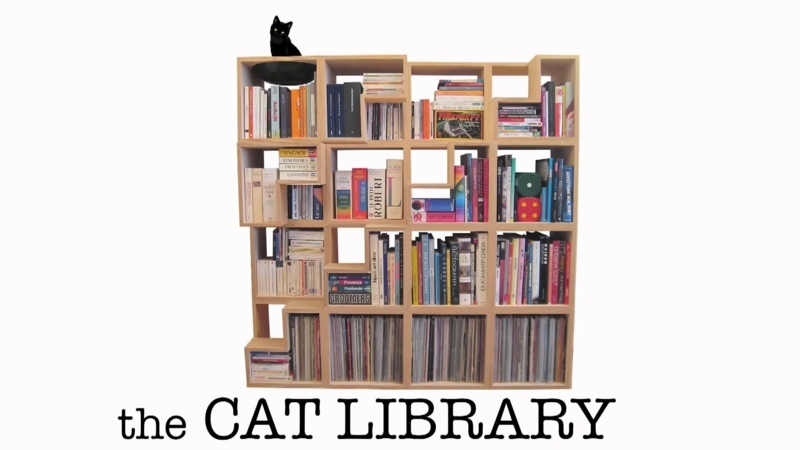 Modular Bookshelves with Built-In Cat Shelves