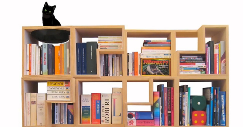 Modular Wooden Bookcase with Hidden Cat Nook Design