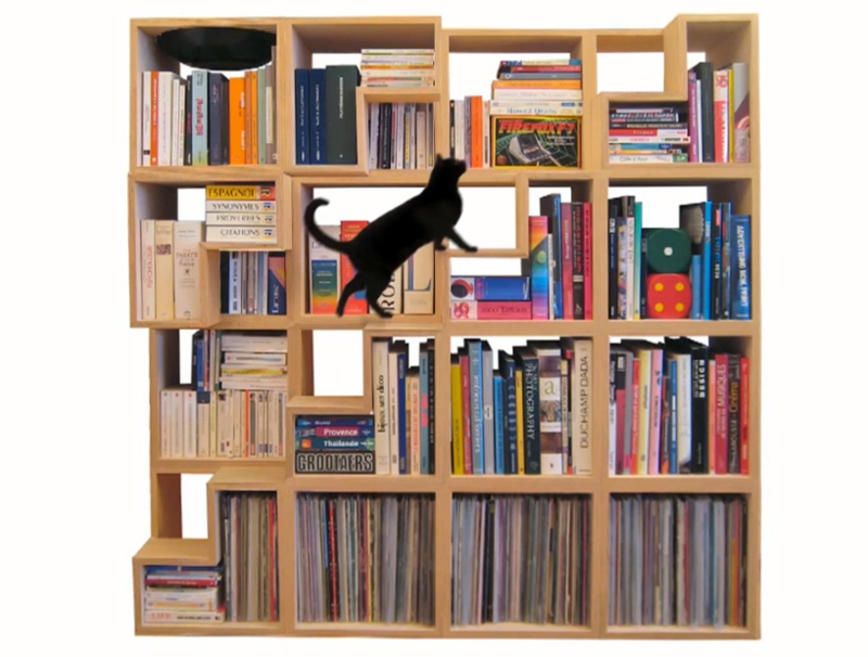 Modular Wooden Bookcase with Integrated Cat Play Areas
