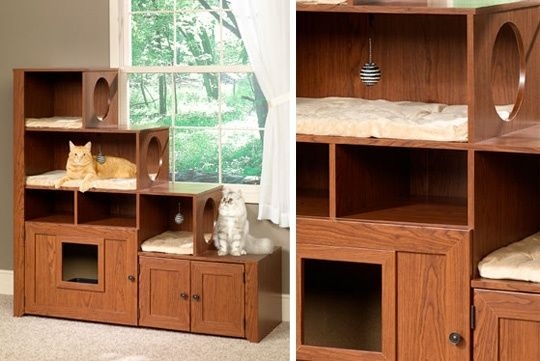 Multi-Level Wooden Cat Bookcase with Cozy Beds
