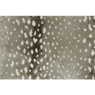 Neutral Antelope Print Rug with Spot Pattern