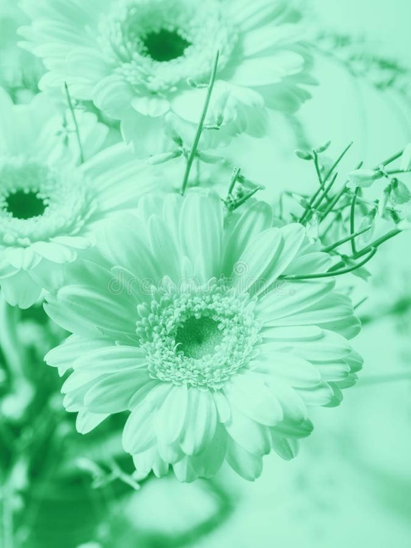 Soft Pastel Green Floral Background for Interiors