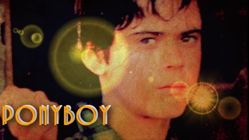 Vintage Movie Poster Style The Outsiders Ponyboy