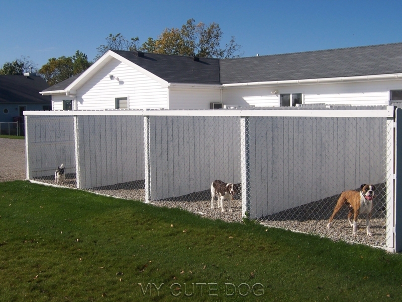 111 Best Outdoor Dog Kennel Ideas | Dog boarding kennels, Dog kennel ...