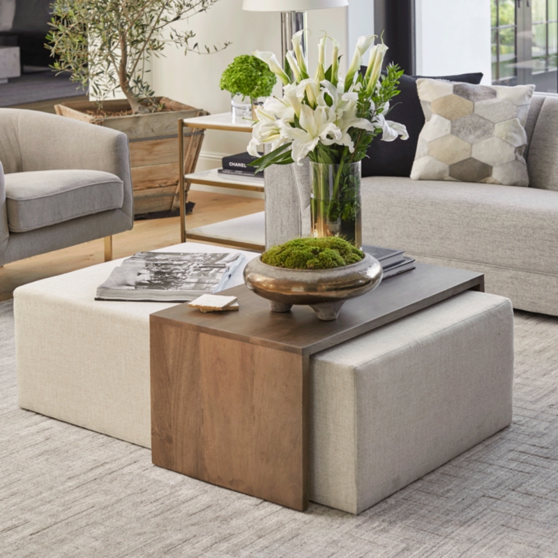 Asher Ottoman | Decorating coffee tables, Ottoman coffee table, Ottoman ...