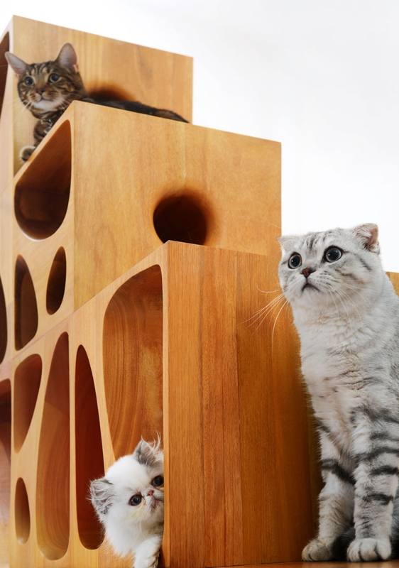 CATable: Modern Modular Wooden Furniture for Cats | Designs & Ideas on ...