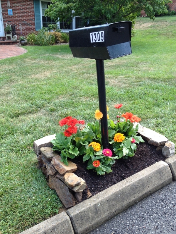 Colorful Flowers Surrounding Black Mailbox with Stone Border