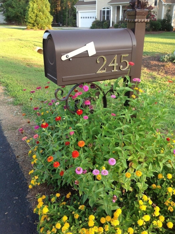 Colorful Flowers to Enhance Your Mailbox Area