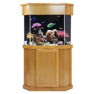 Corner Aquarium With Stand - VisualHunt