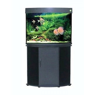 Corner Aquarium With Stand - VisualHunt