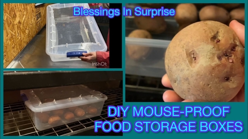 DIY Mouse-Proof Root Vegetable Storage Box