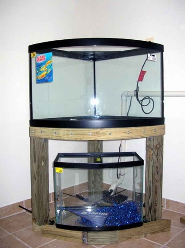 DIY Wooden Aquarium Stand with Dual Tanks