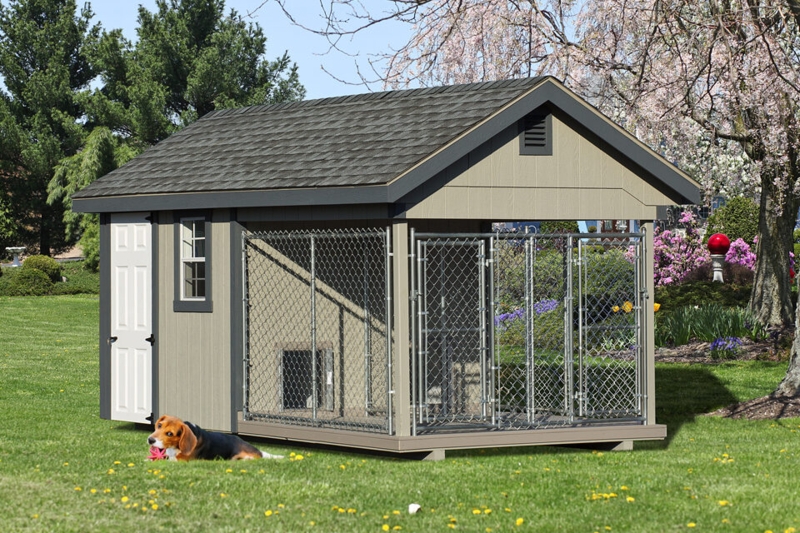 Durable Dual Dog Kennel with Storage Shed