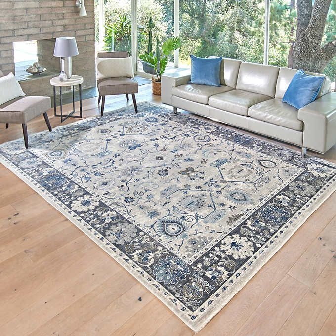 Elegant Blue and Gray Asteria Area Rug