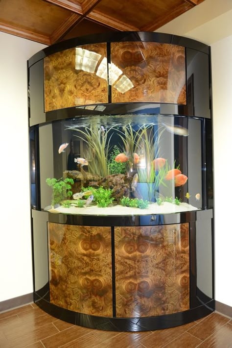 Elegant Corner Aquarium with Wood Finish Cabinet