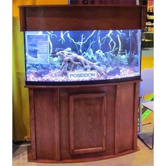 Elegant Corner Aquarium with Wooden Stand