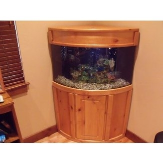 Elegant Corner Aquarium with Wooden Stand