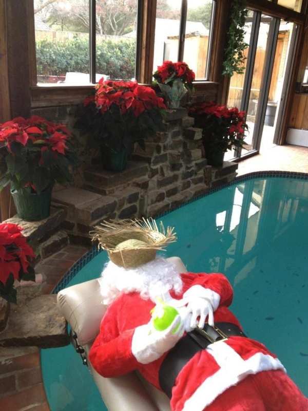 Festive Indoor Pool Decor with Holiday Poinsettias