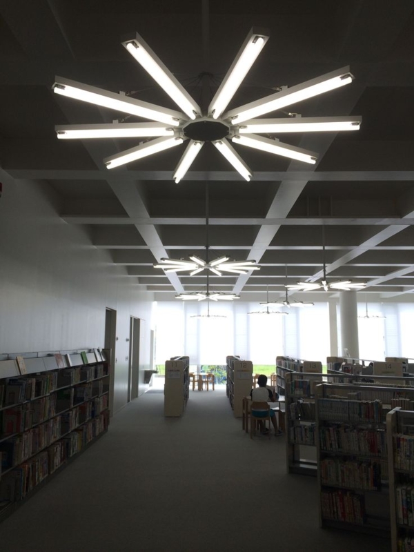 Library | Indoor lighting, Lights, Ceiling lights