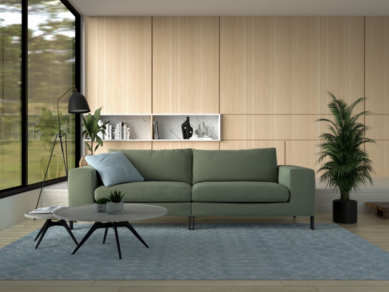 Living Room with Sage Green Couch and Blue Rug