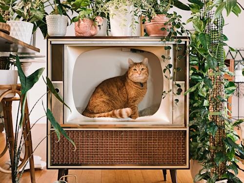 Mid-Century Modern Cat Furniture Ideas