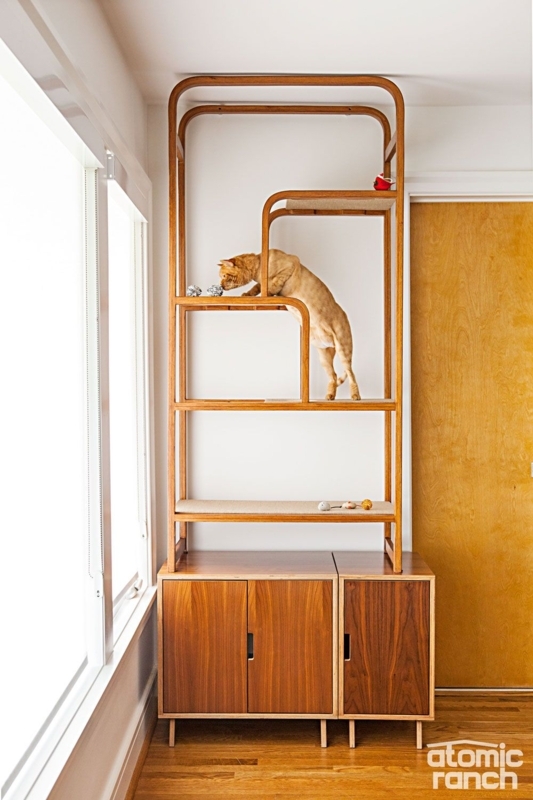 Mid Century Modern Cat Shelves and Cabinet Design