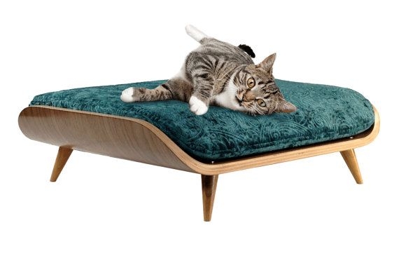 Mid-Century Modern Elevated Cat Bed with Cushion