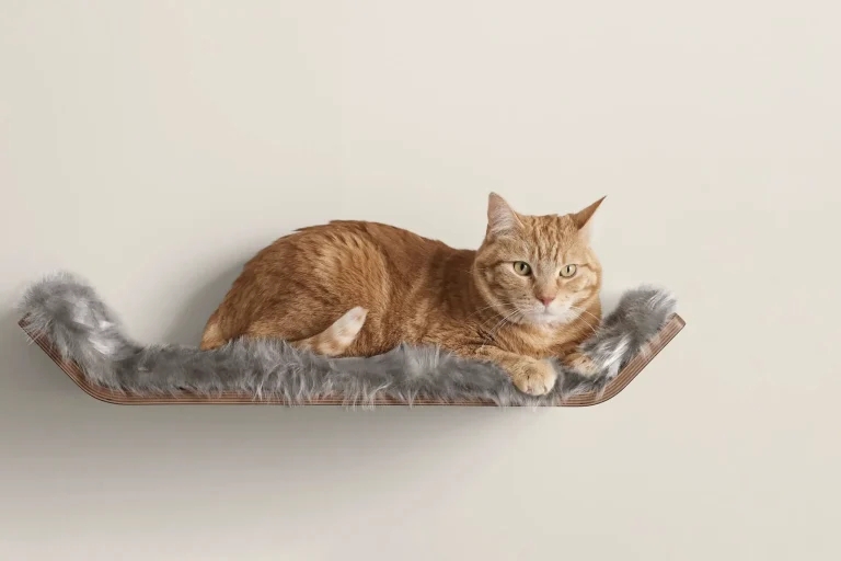 Mid-Century Modern Wall-Mounted Cat Shelf