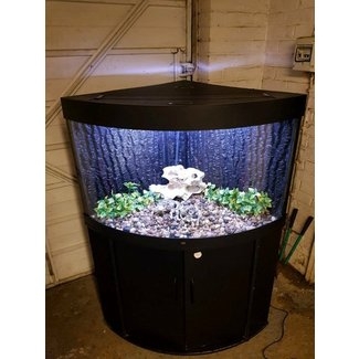 Modern Corner Aquarium with Stylish Black Stand