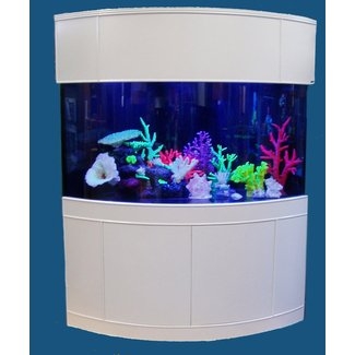 Modern Corner Aquarium with White Storage Stand