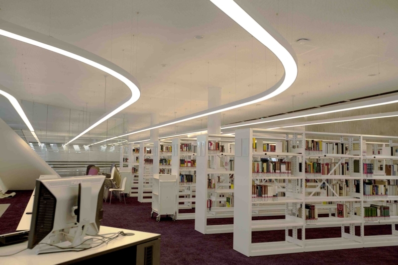 Modern Curved LED Lighting in Library Interior